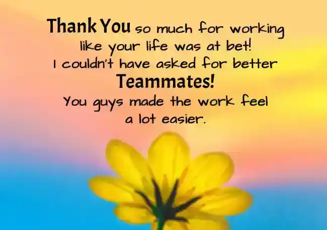 Appreciation Messages for Team