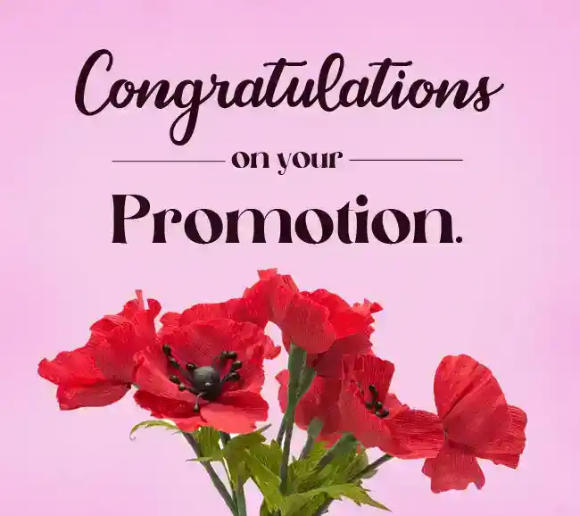 Congratulations on your Promotion
