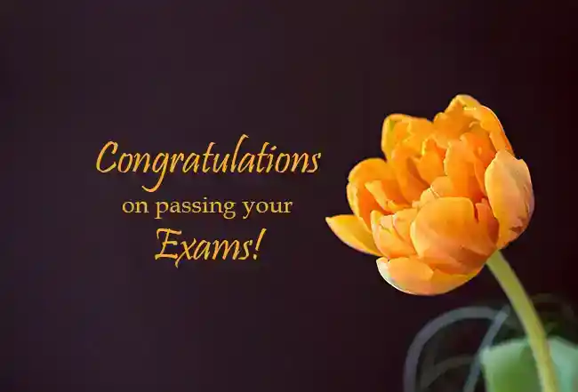 Gratulujeme k úspěšnému složení zkoušky a dosažení dobrých výsledků