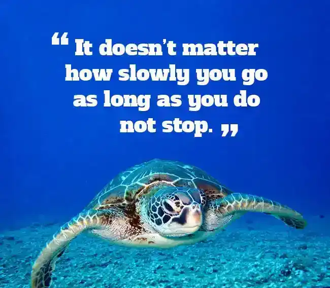 dont give up message