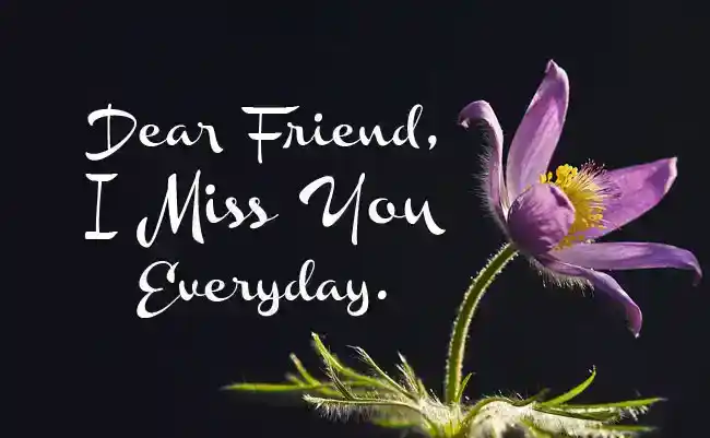 Ich vermisse deine Zitate und Nachrichten für Freunde