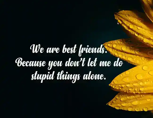 Funny-Message-for-Best-Friend