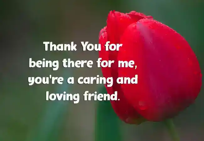 Messaggi per gli amici: messaggi dolci e divertenti