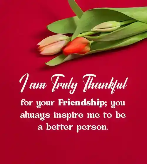 Thank You Captions for Friends