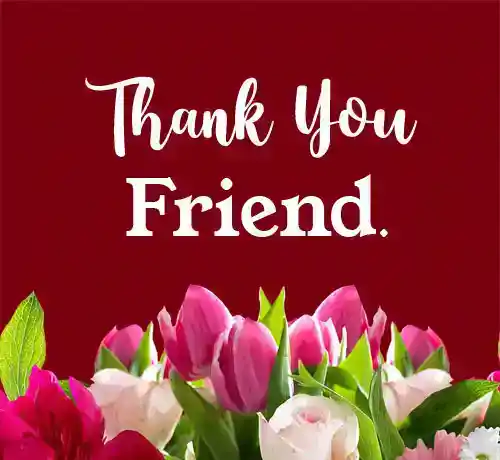 100 děkovných zpráv pro přátele - děkovné citáty