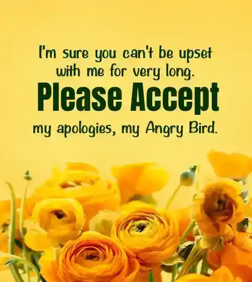 sorry message for gf