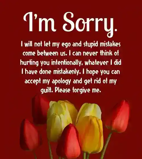 long sorry message for girlfriend