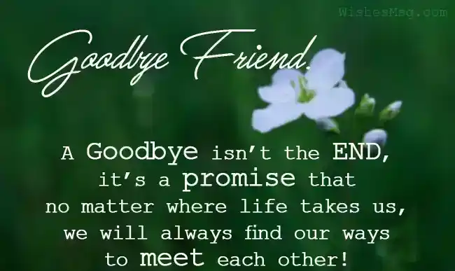 Goodbye Messages For Best Friend