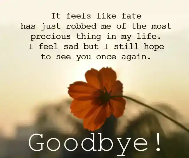 Emotional Goodbye Messages For Someone You Love
