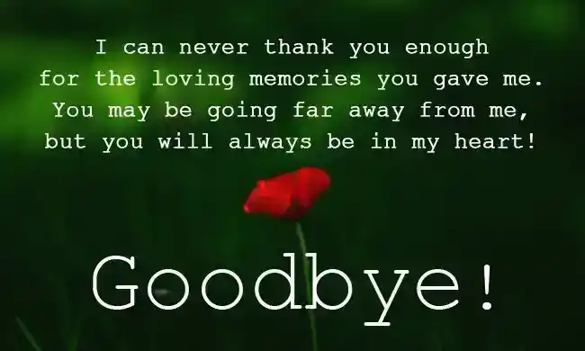 Abschied und herzliche Zitate