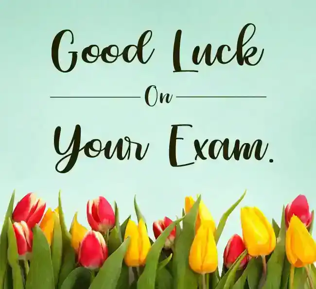 exam wishes
