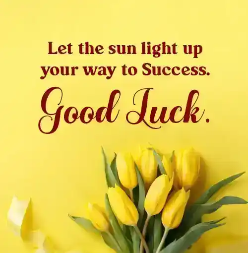 good luck message for success