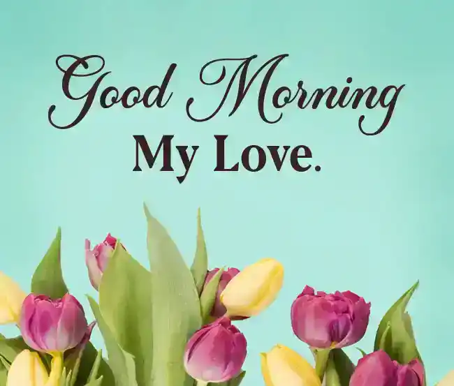 175 SMS pieni di amore e buongiorno