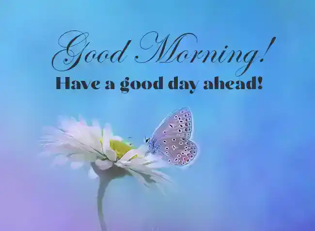good-morning-wishes