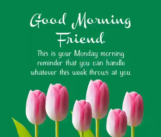 good morning monday wishes for friends