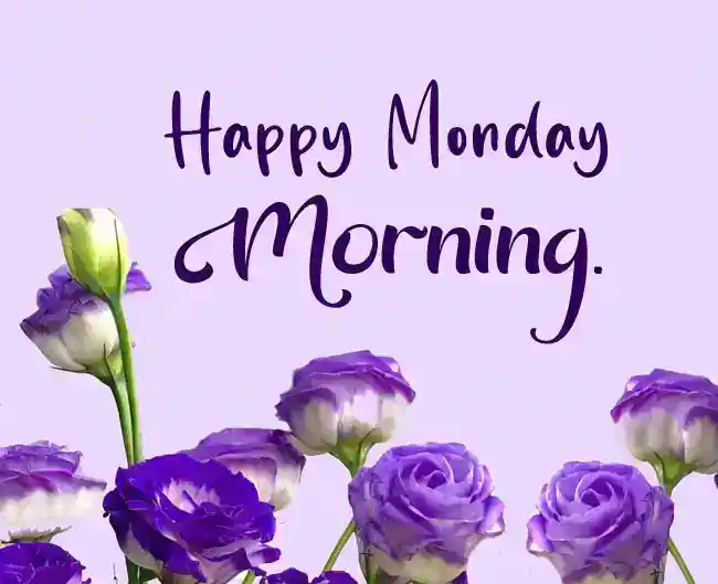 Bonjour lundi matin, salutations et félicitations