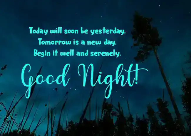 心に強く訴えるおやすみメッセージと引用