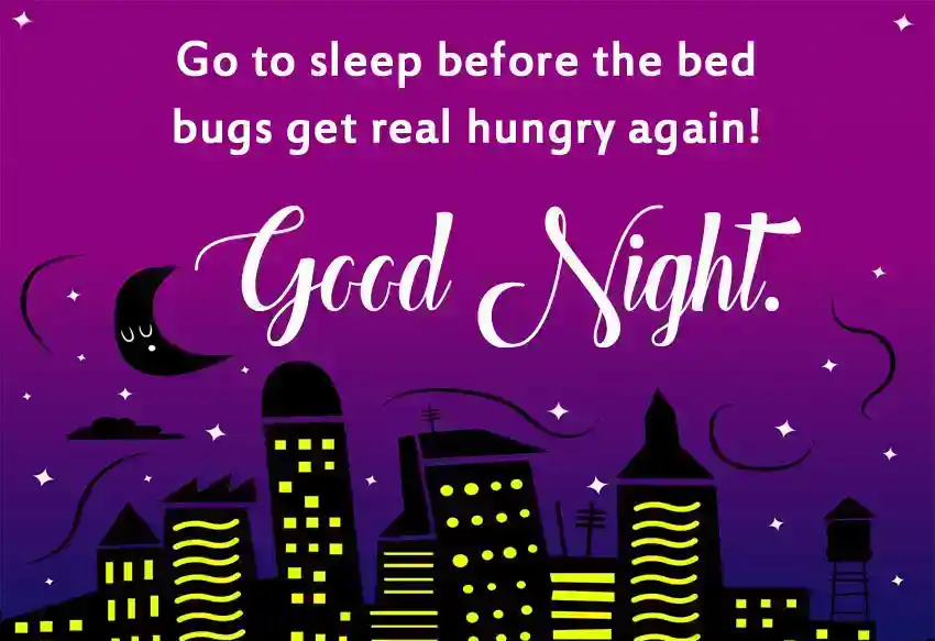 Funny Goodnight Texts