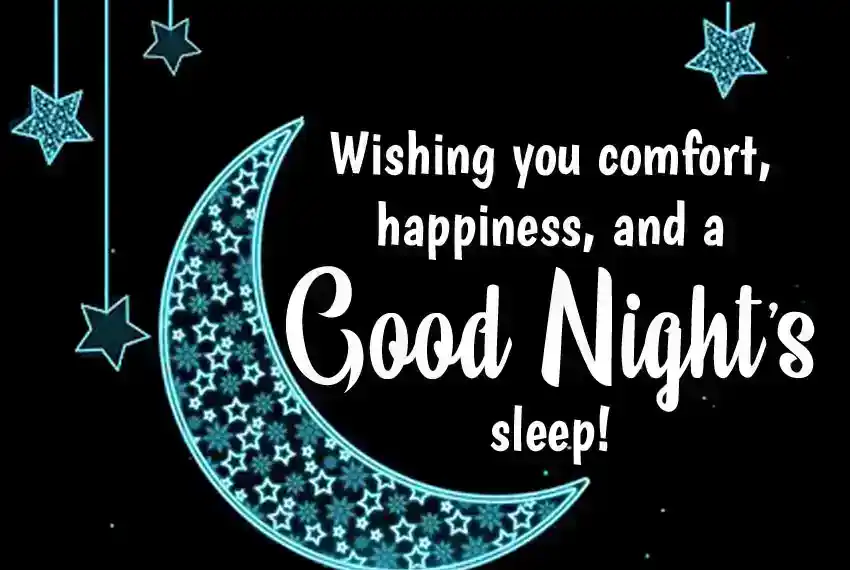 Good Night My Love Quotes