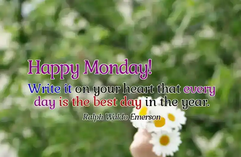 best monday wishes quotes