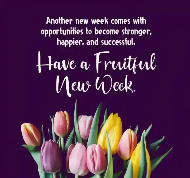 monday motivation message