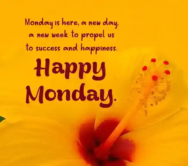월요일 마음에 강하게 호소하는 인용문과 메시지