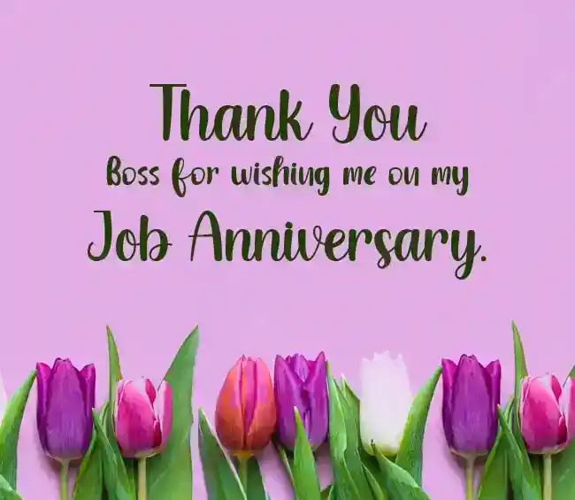 Job Anniversary Wishes Reply To Boss