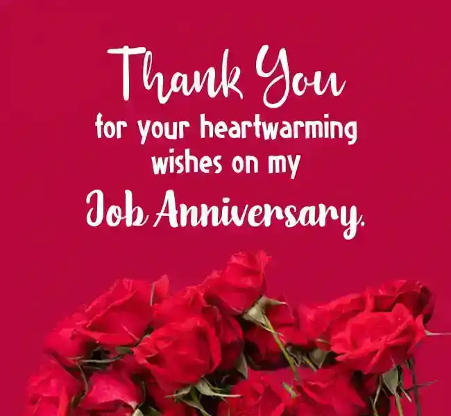 Você também pode responder a desejos de aniversário