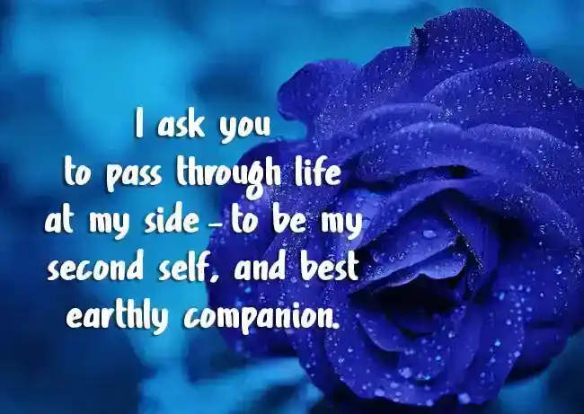 Propose-Message-to-a-Boy