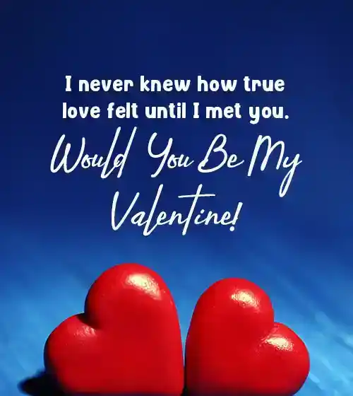 Valentine Day Propose