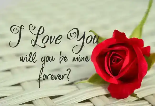 Invia messaggi e consiglia le migliori rotte di navigazione