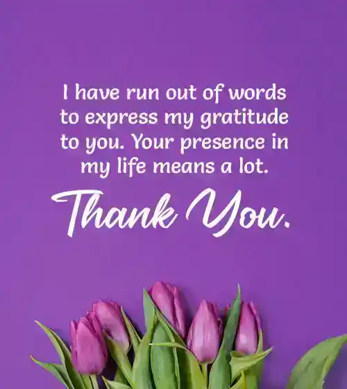 Best Gratitude Messages