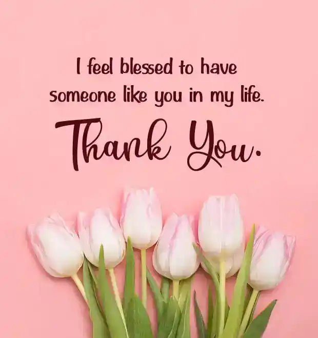 thanks messages for appreciation