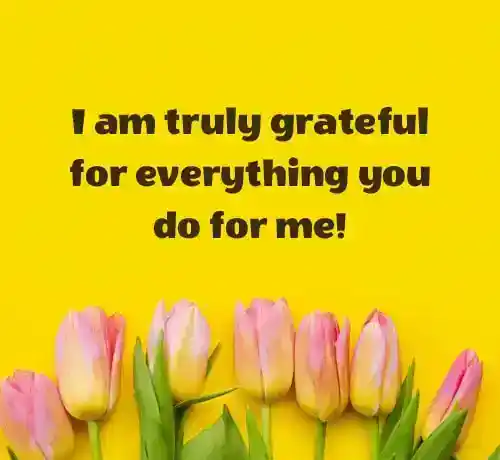 message of appreciation