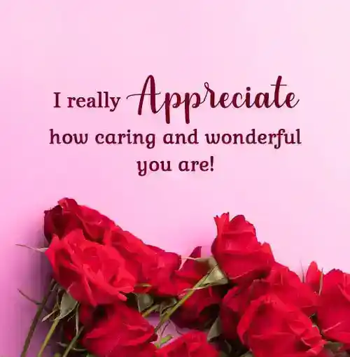 120 děkovných zpráv a nabídek