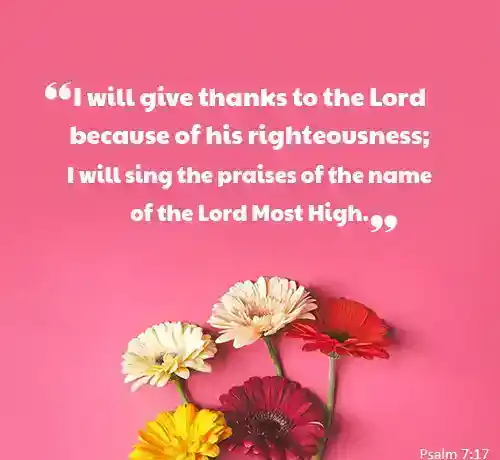 thank you lord quotes from the bible