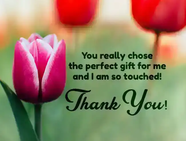 140 lettere di ringraziamento per le donazioni