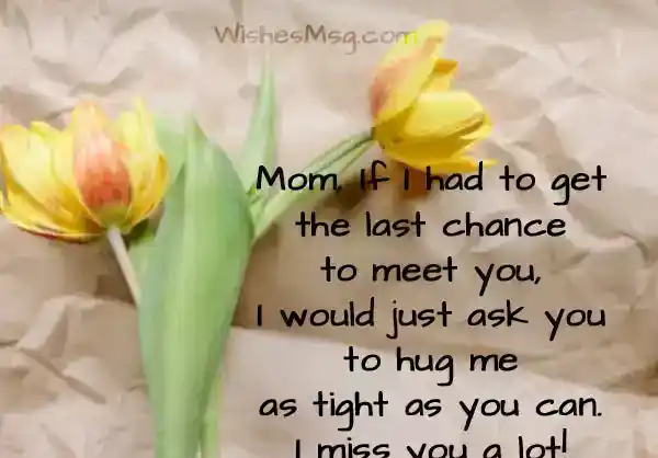I-Miss-You-Messages-For-Mom-After-Death-From-Son