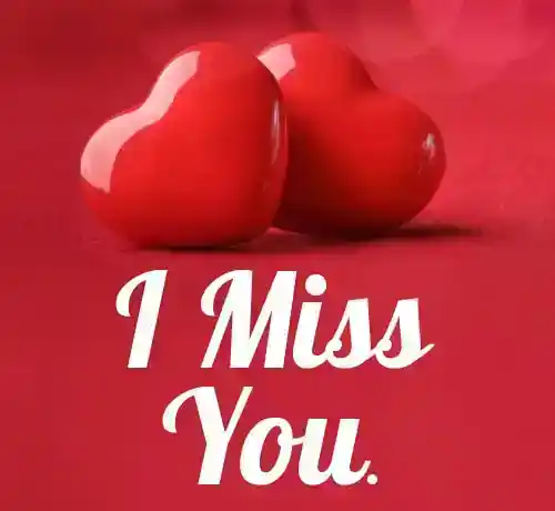 70건의 실종자 보고 및 수집