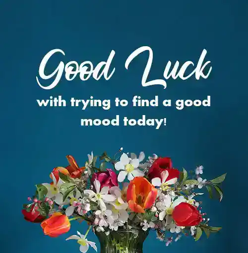 funny good day wishes