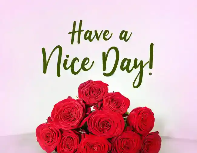have a nice day message