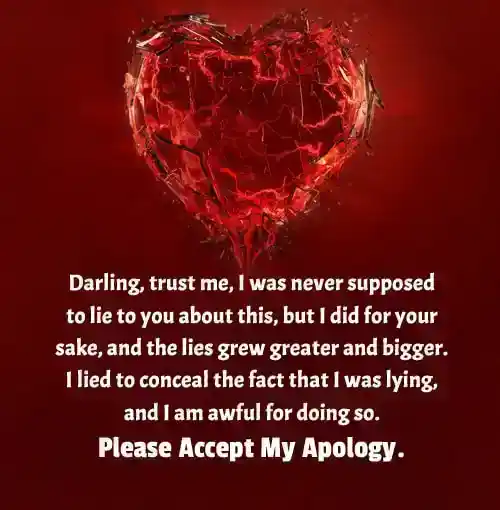 apology paragraphs for him