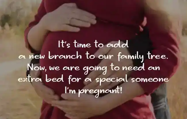 Creative-Pregnancy-Announcement-Messages-Images