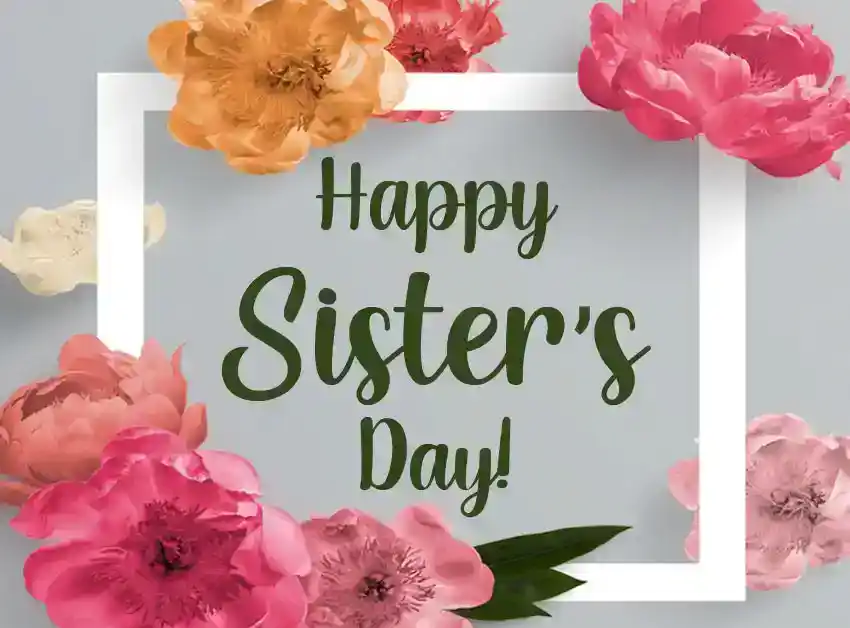 간호사의 매일 소원, 메시지, 명언