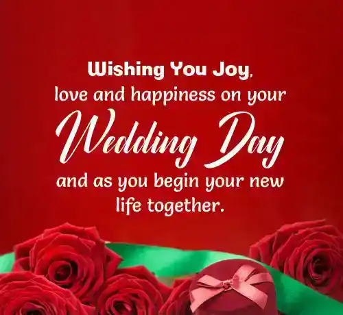 sister wedding quotes