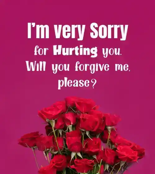 sorry message for love