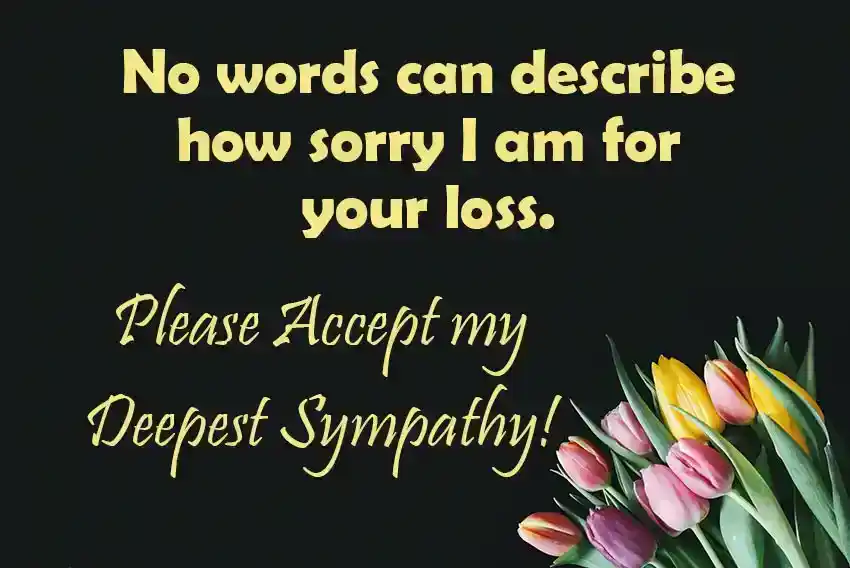 Messaggi di condoglianze: cosa dovremmo scrivere in un biglietto di condoglianze?