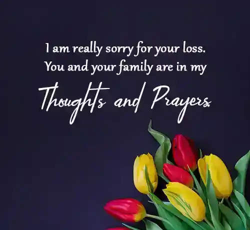 Sympathy Messages for Friend Who Lost Someone Special