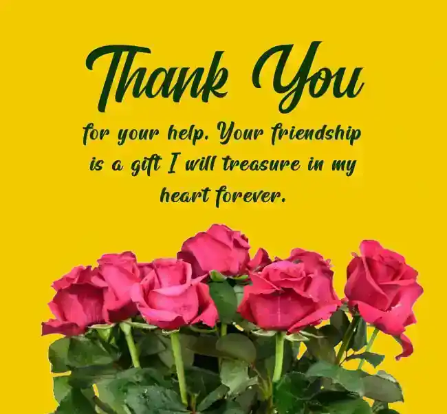 thank you for your help