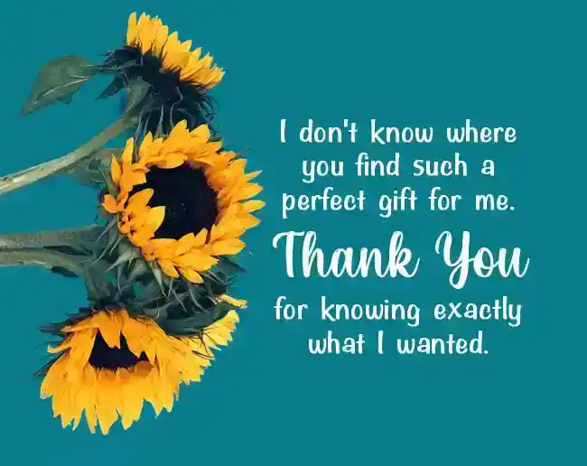 thank you for your gift